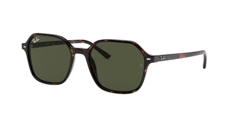 RAY-BAN 0RB2194 902_31 53