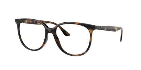 RAY-BAN 0RX4378V 2012 52