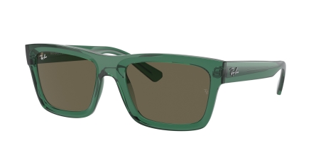 RAY-BAN 0RB4396 6681_3 54