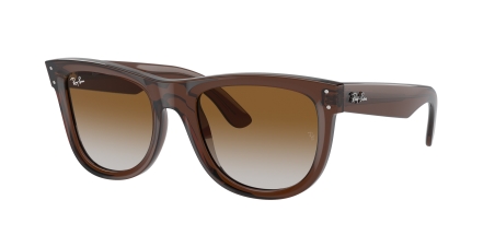 RAY-BAN 0RBR0502S 6709CB 50