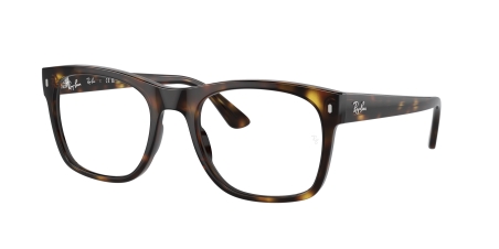 RAY-BAN VISTA 0RX7228 2012 53