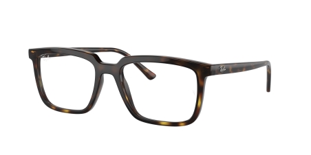 RAY-BAN VISTA 0RX7239 2012 54