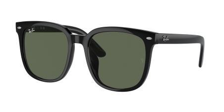 RAY-BAN 0RB4401D 601_71 57